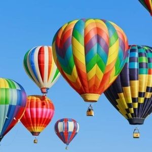 Meet your Posher, Sue